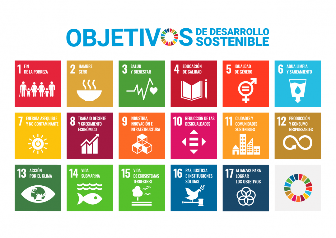 s_sdg_poster_without_un_emblem_web
